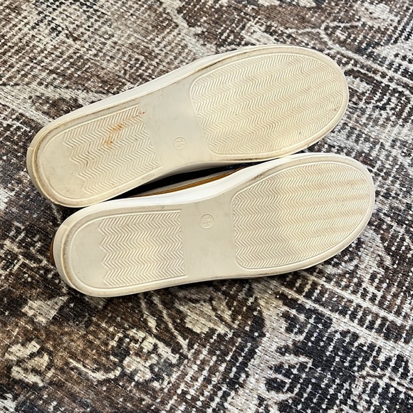 Ccocci Slides - Picture 4 of 4